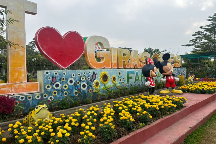 Girasoles Farm Candelaria