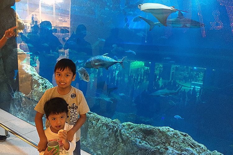 Exploring the Wonders of Dubai Mall