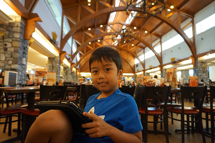 Mall of the Emirates, Dubai: Where Shopping Meets Ultimate Entertainment